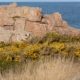 Promotion immobilière en Bretagne